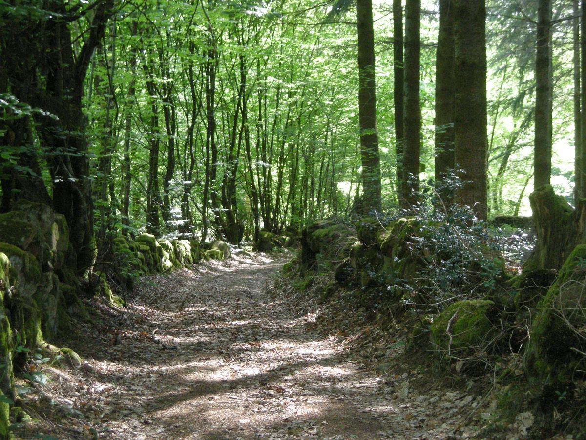 Saint-Agnan  La Vieille Auberge Du Lac المظهر الخارجي الصورة